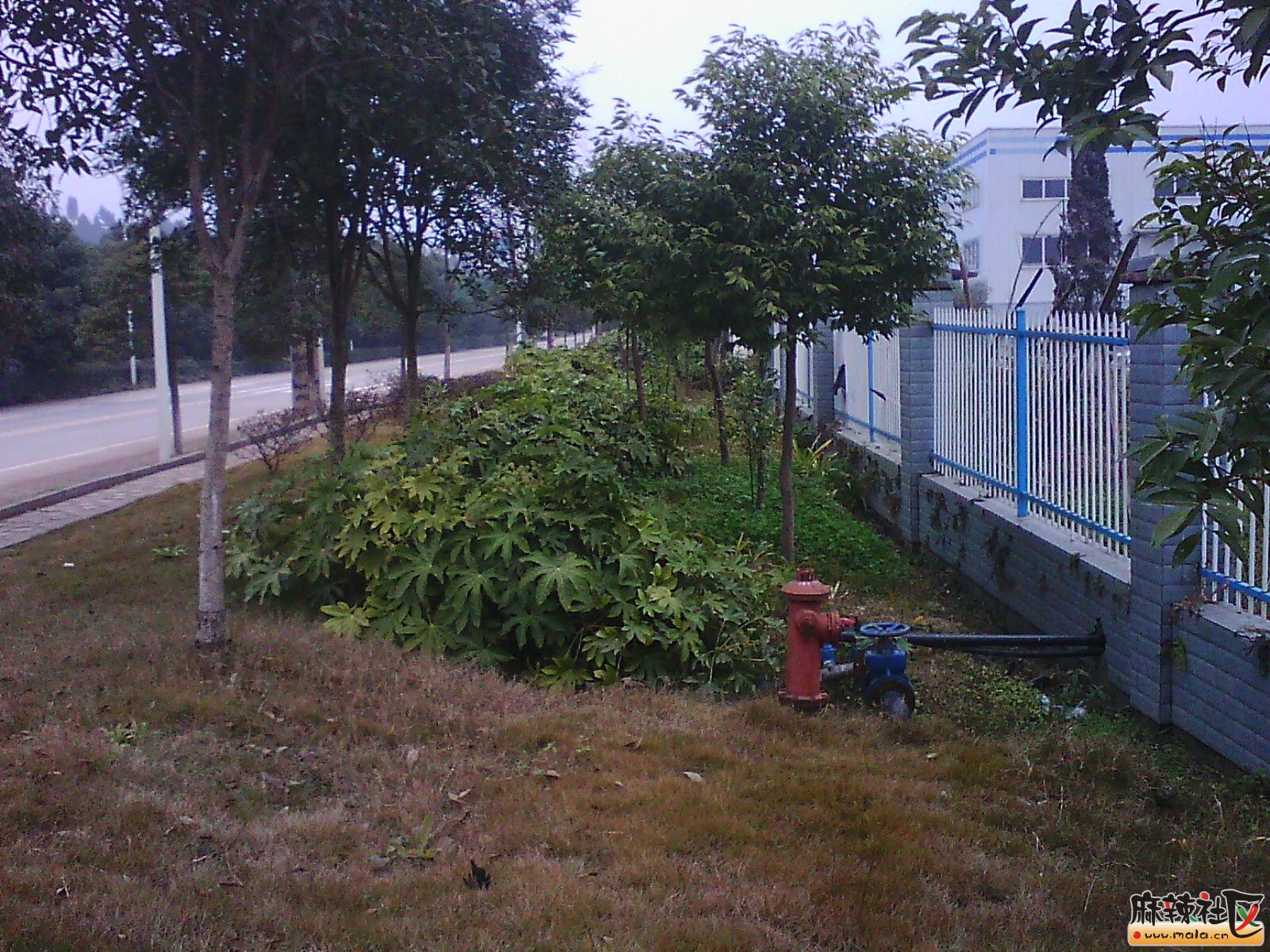 IMG16232.jpg