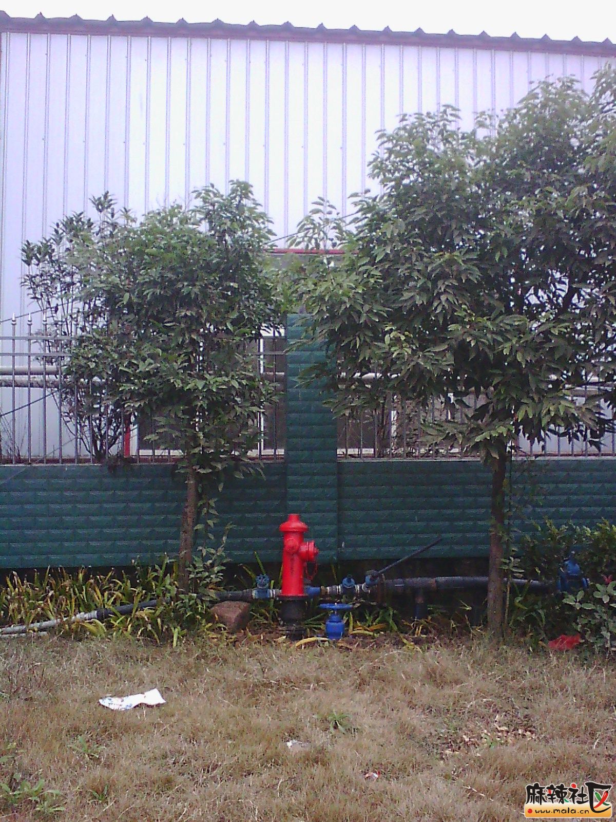 IMG16247.jpg