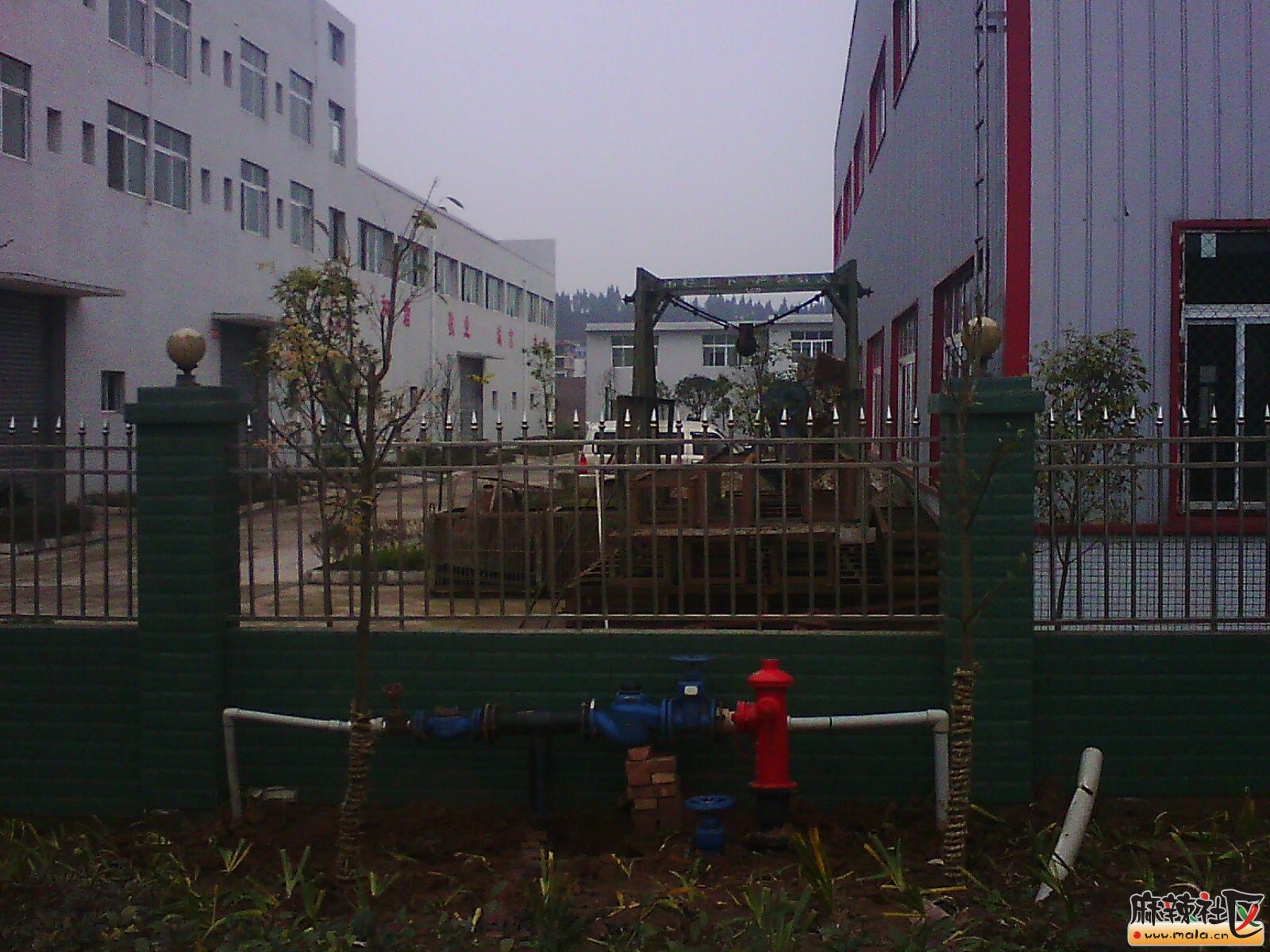 IMG16260.jpg