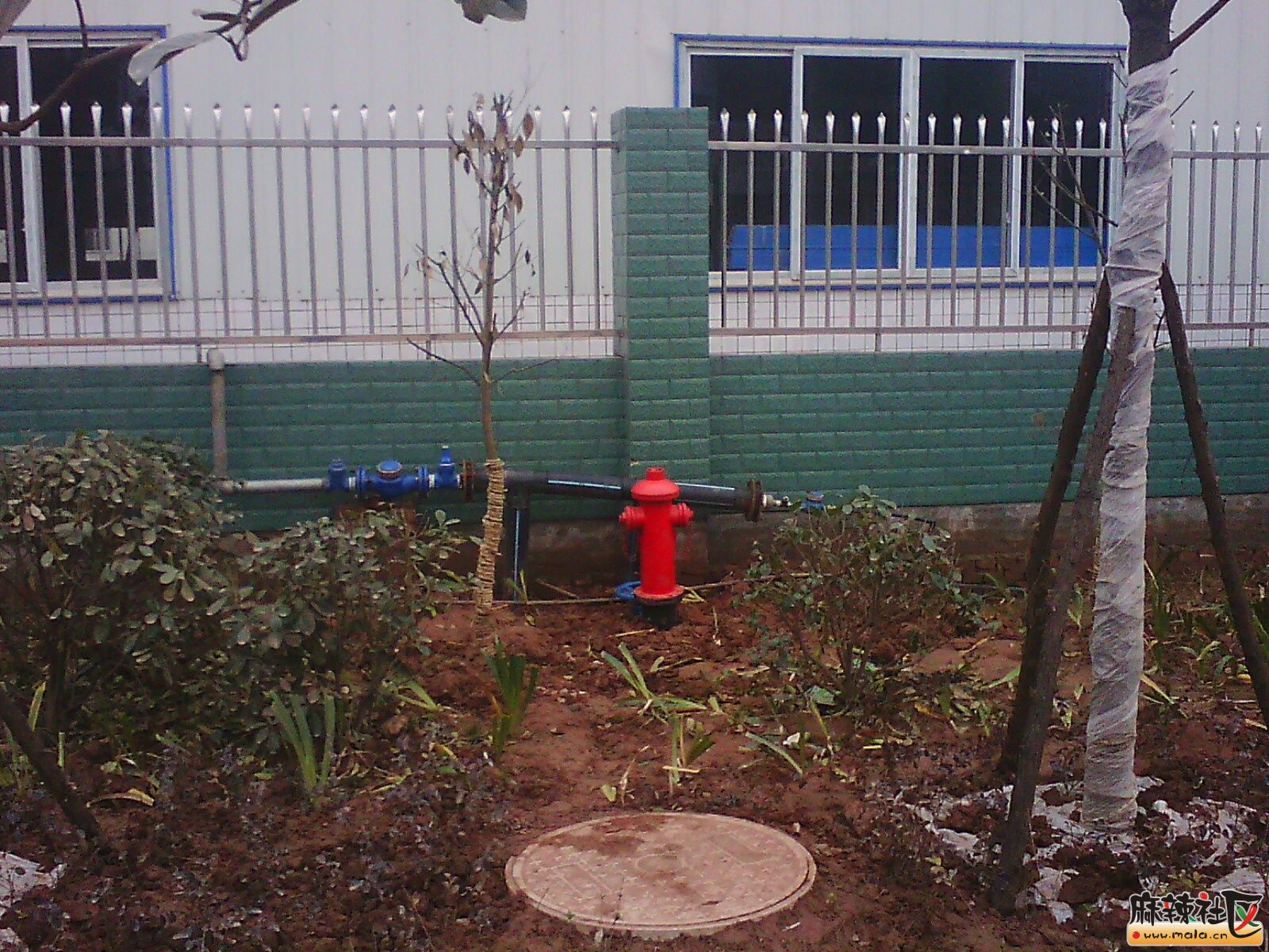 IMG16266.jpg