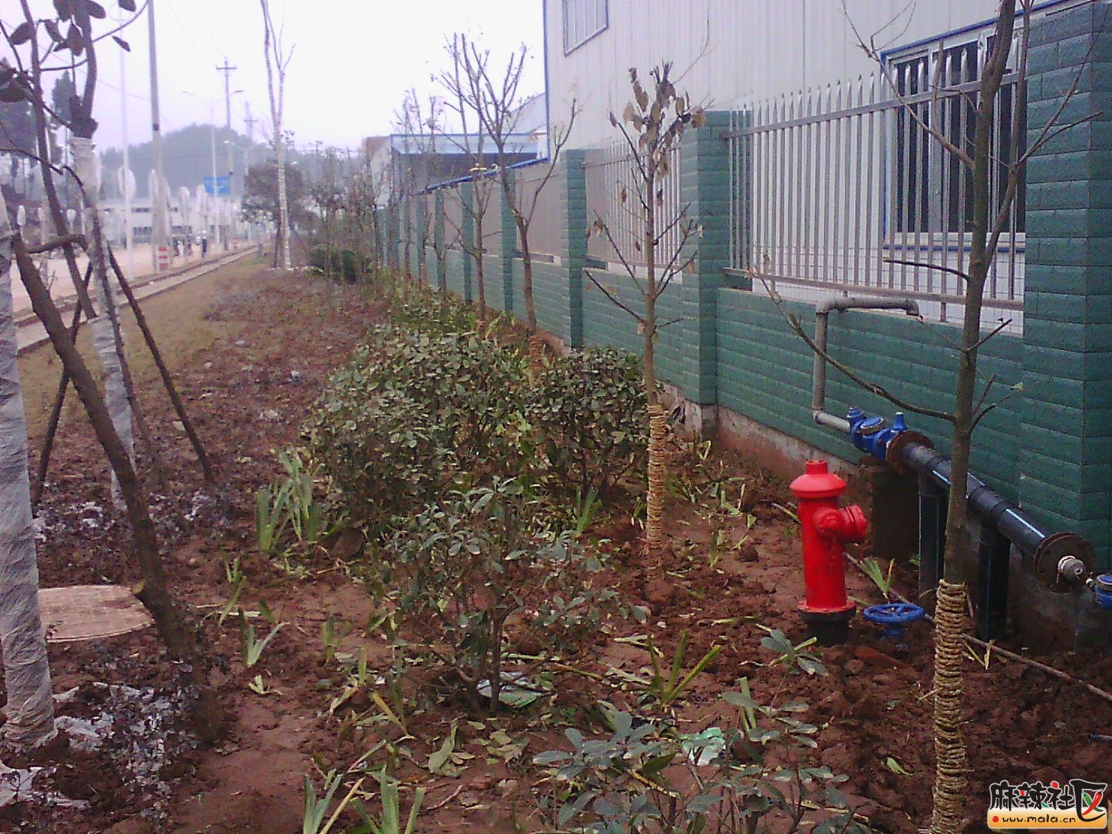IMG16268.jpg