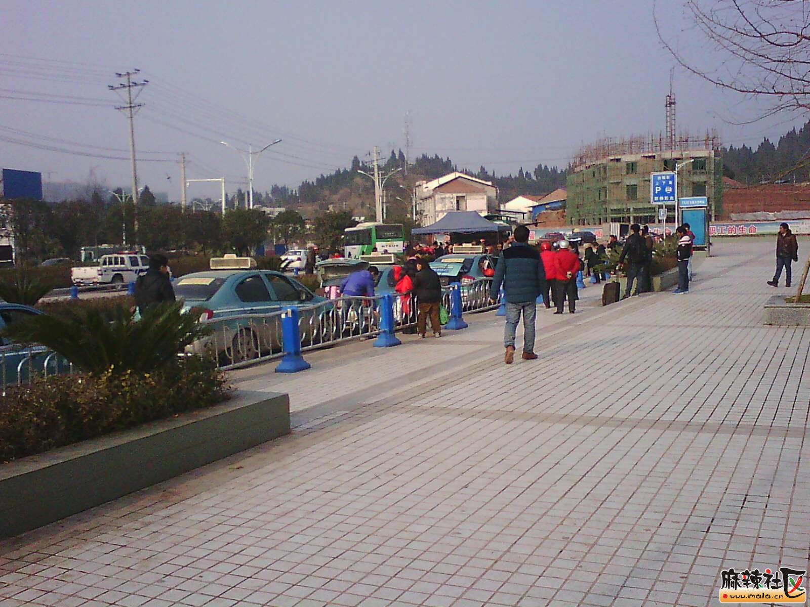 IMG16851.jpg