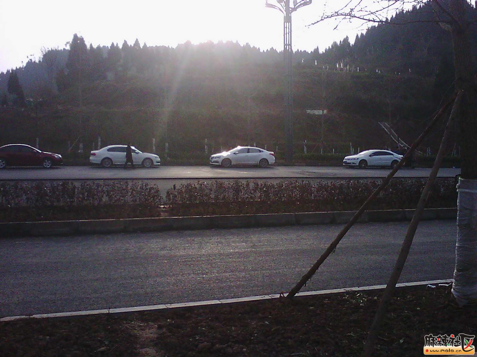 IMG17405.jpg