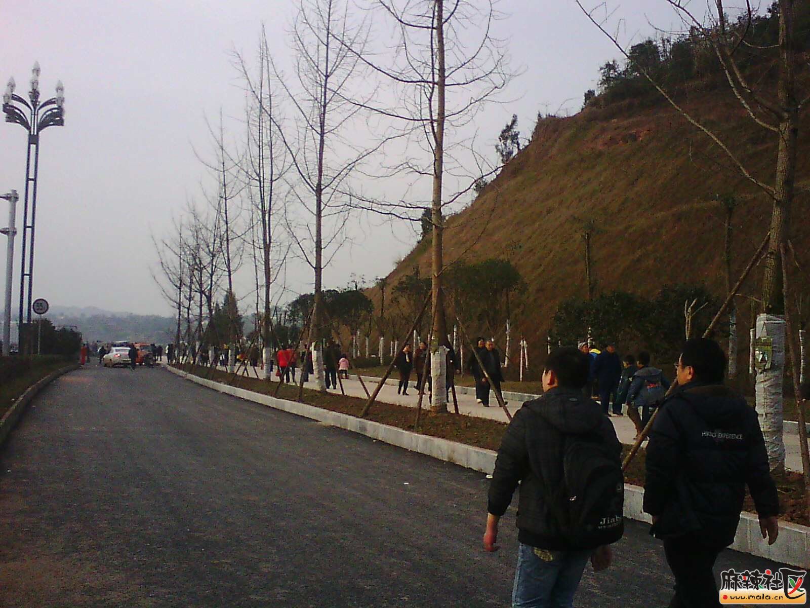 IMG17406.jpg