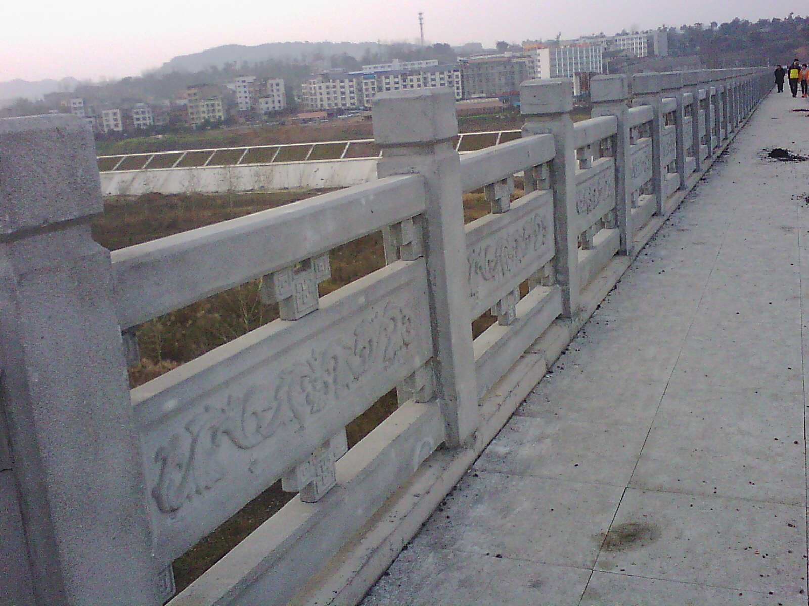 IMG17424.jpg