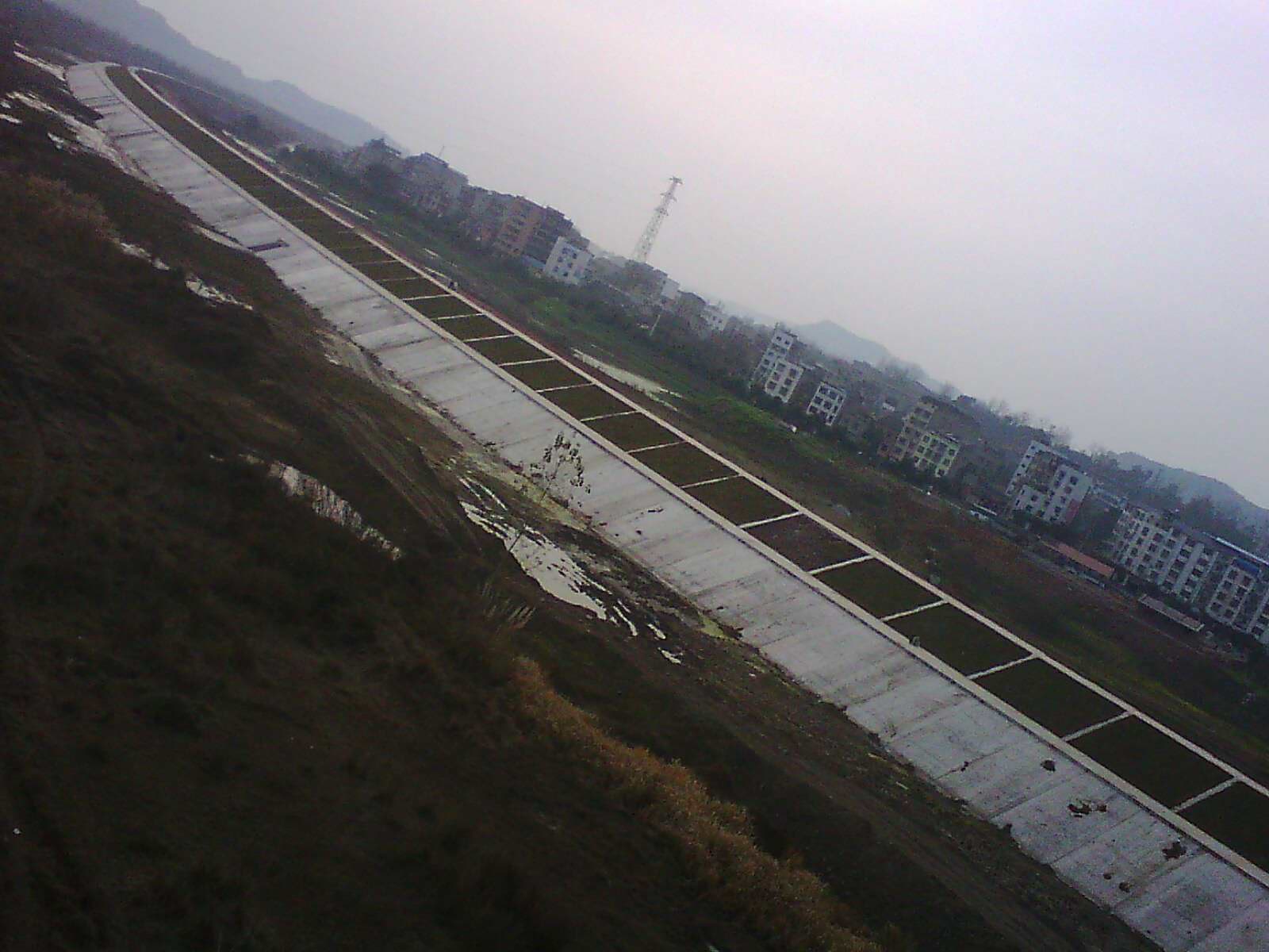 IMG17428.jpg