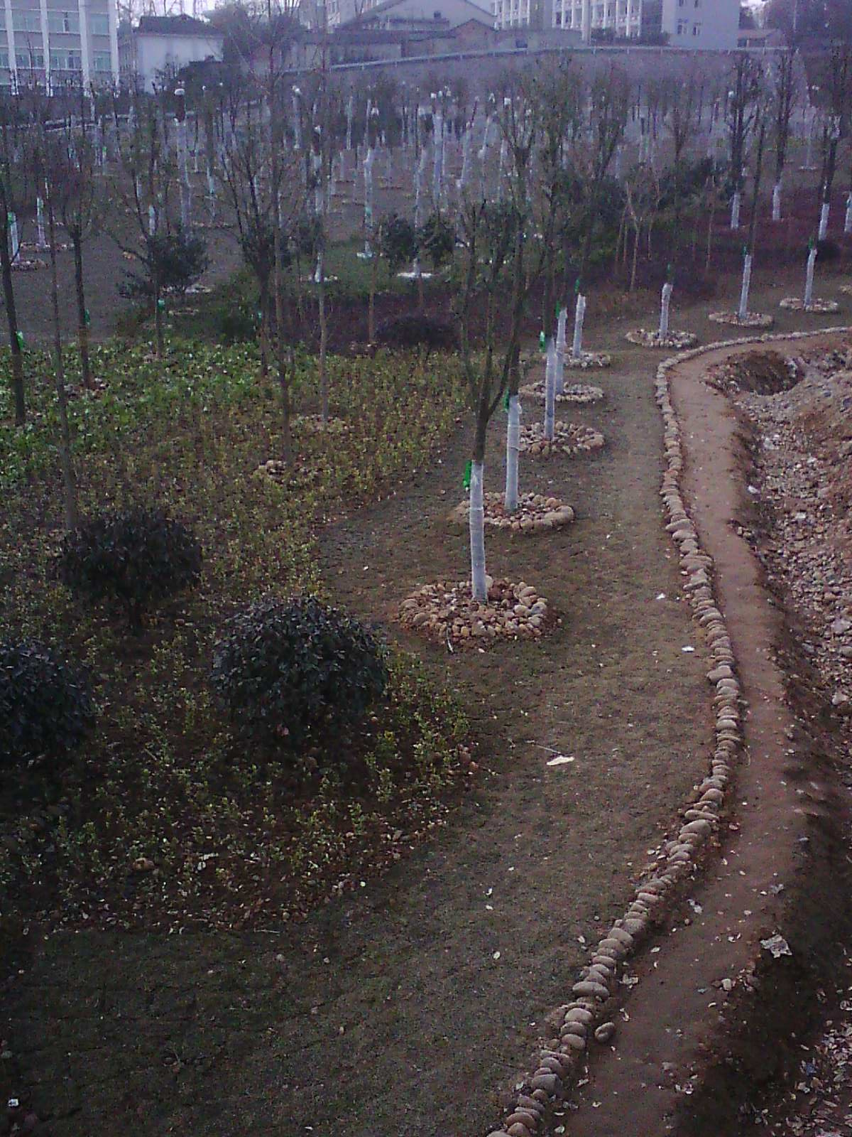 IMG17450.jpg