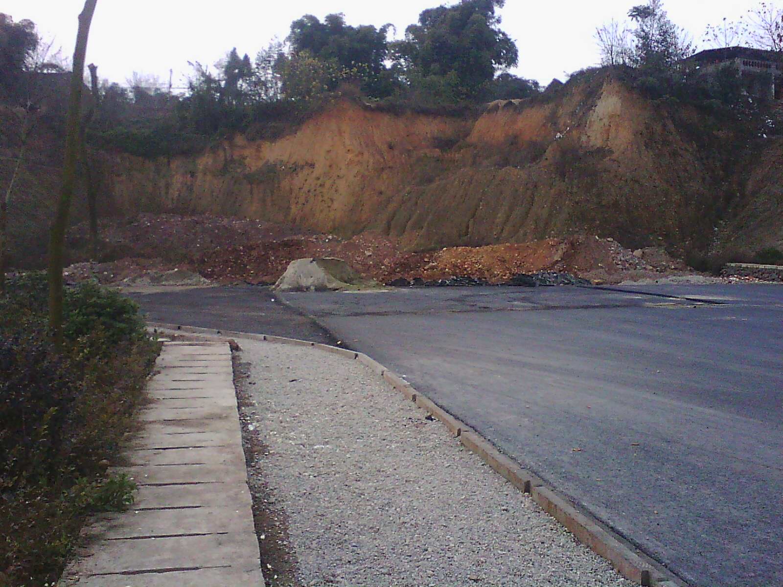IMG17456.jpg