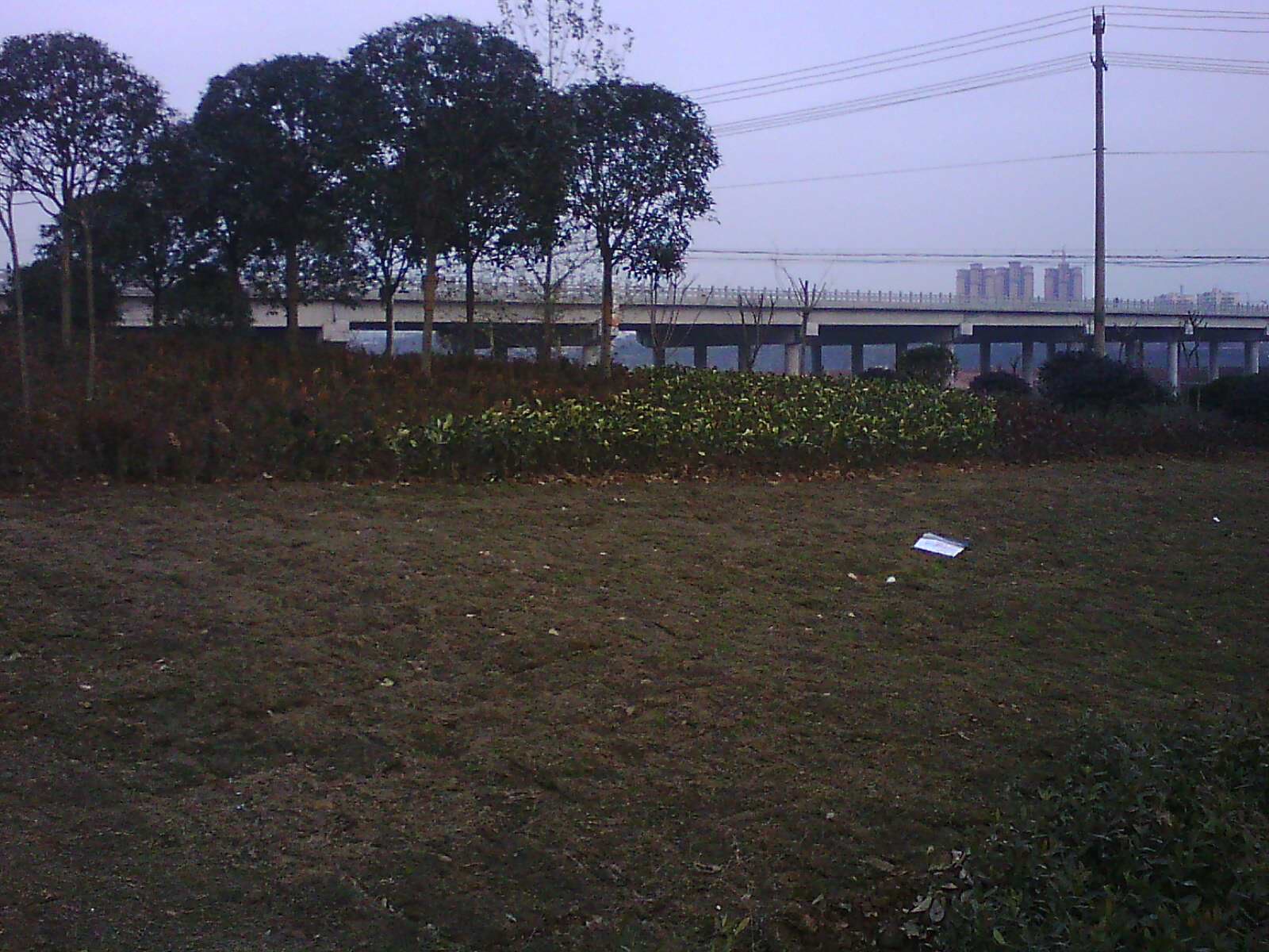 IMG17481.jpg