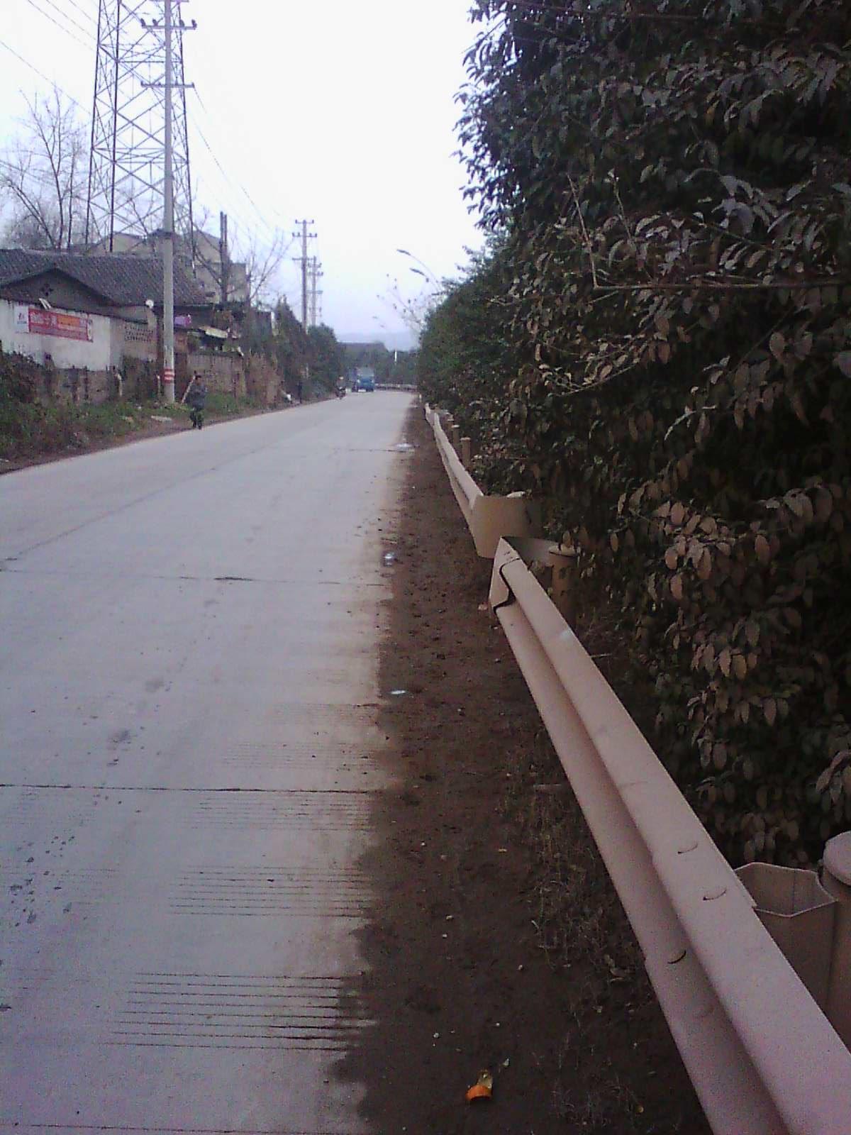 IMG17499.jpg