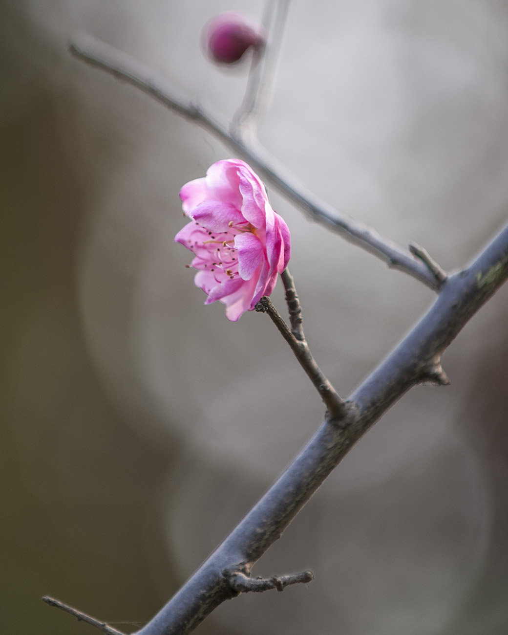 DSC_0001.jpg