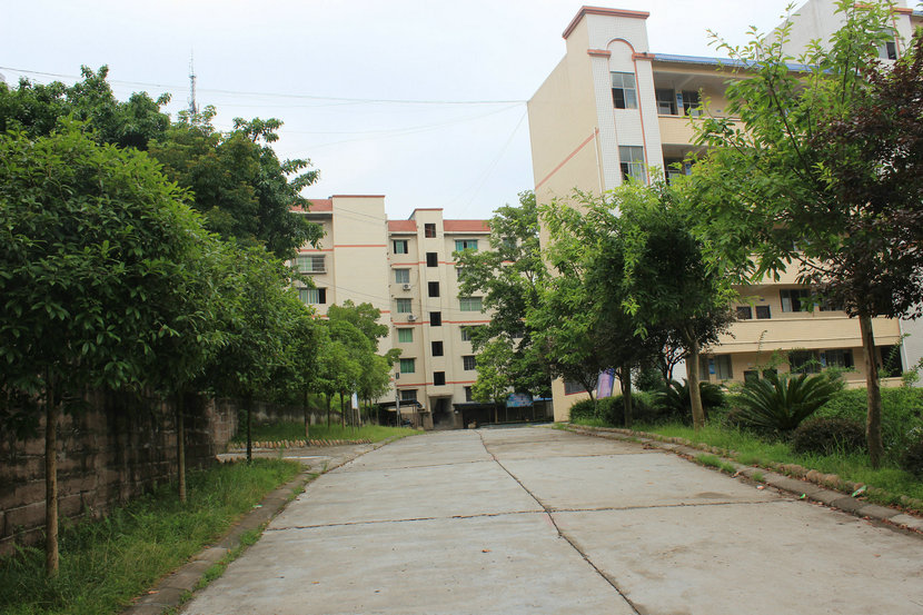 【美丽的校园印象】徐家中学和小学