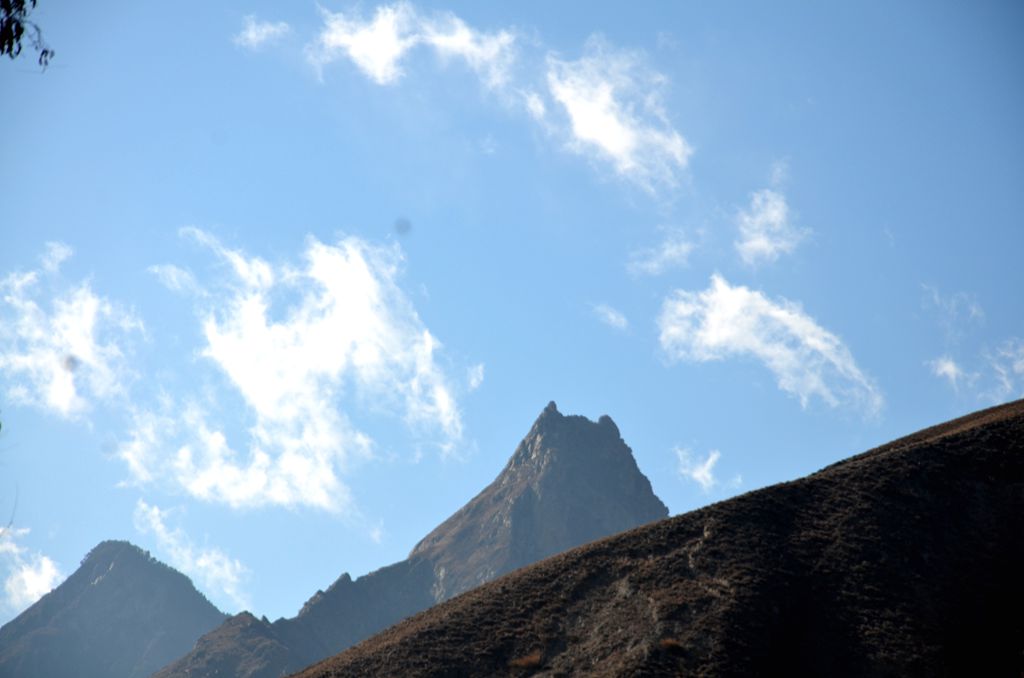 DSC_5101_.jpg