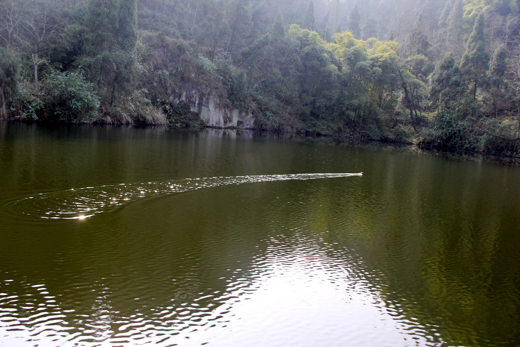 静美学摄影:情深深,南海梦(大深南海风景区)