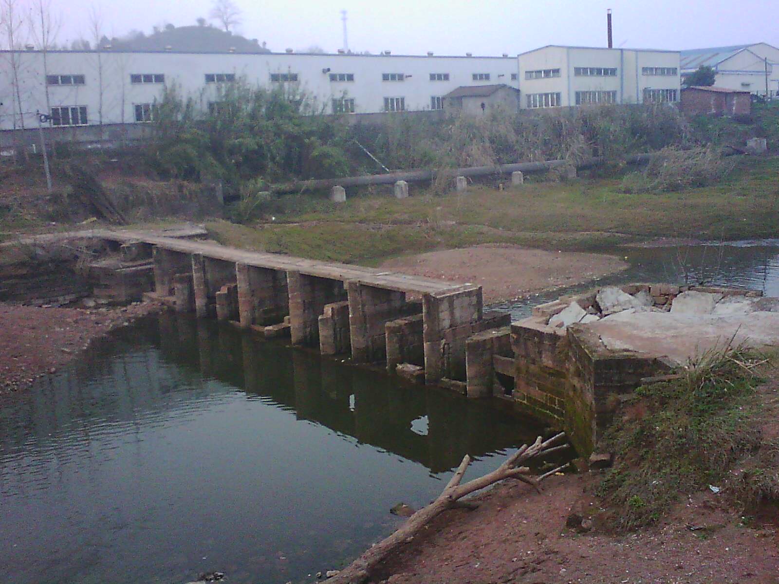 IMG17392.jpg