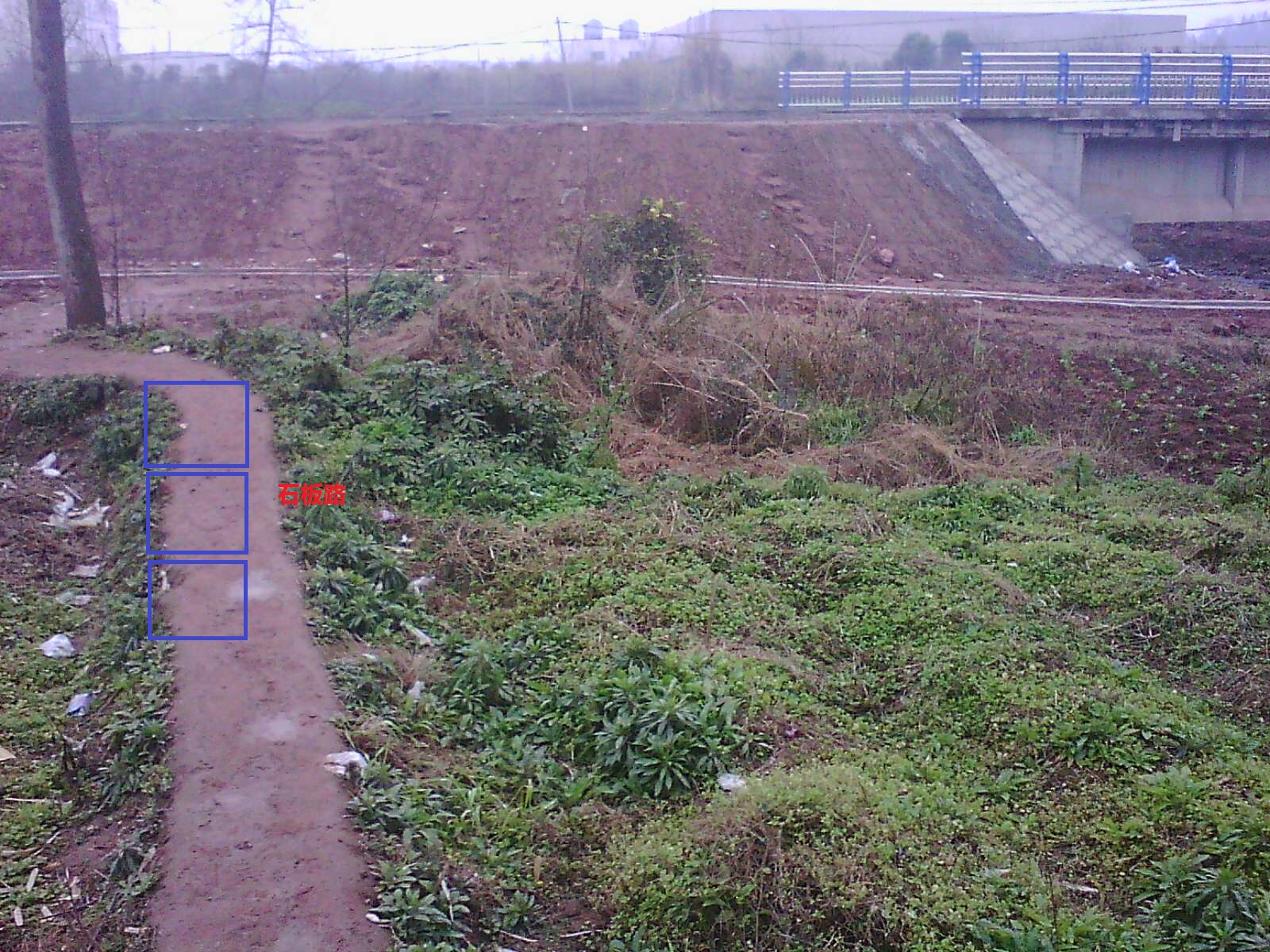 IMG18499.jpg