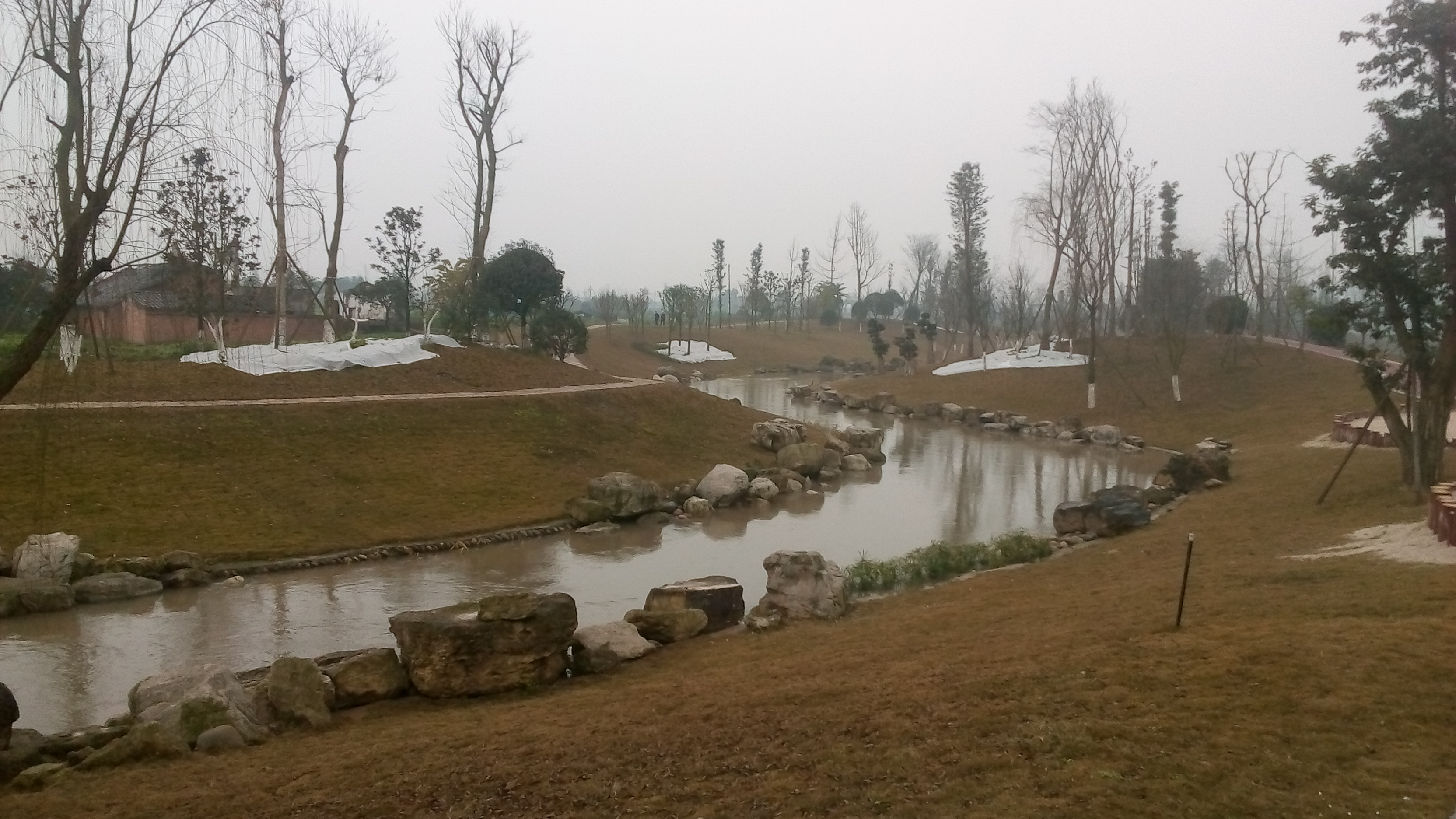 IMG_20150131_094057.jpg
