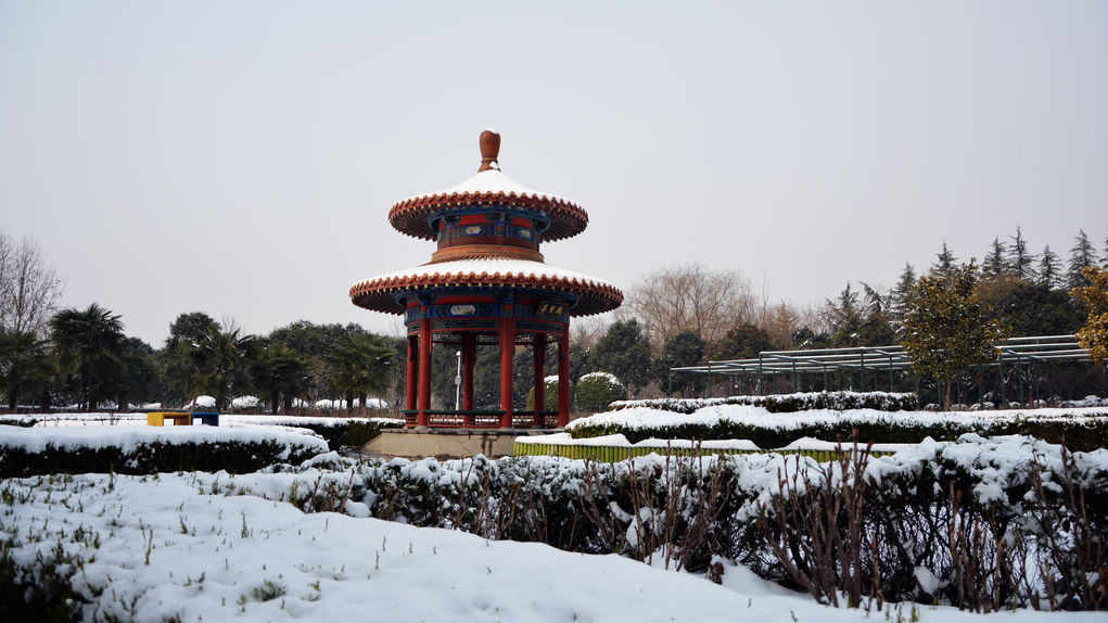 洛陽中國國花園雪景