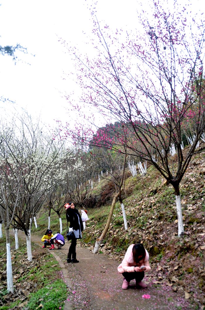 160329b090p045i0p4ps5d.jpg