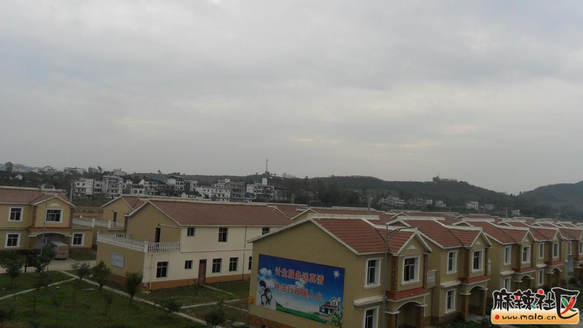 psb (17).jpg