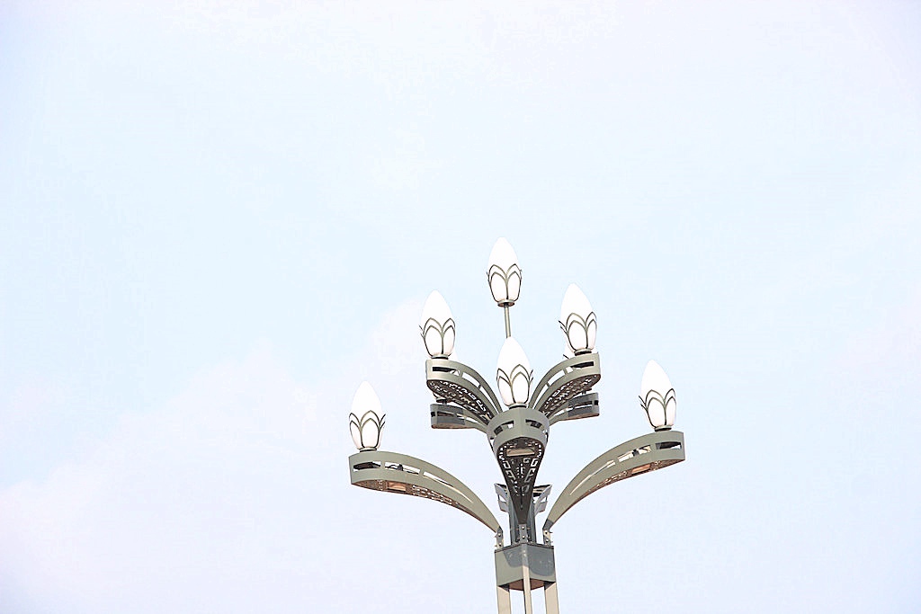 凤凰大道的莲花路灯