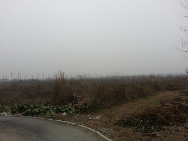 20150113_113822_༭.jpg