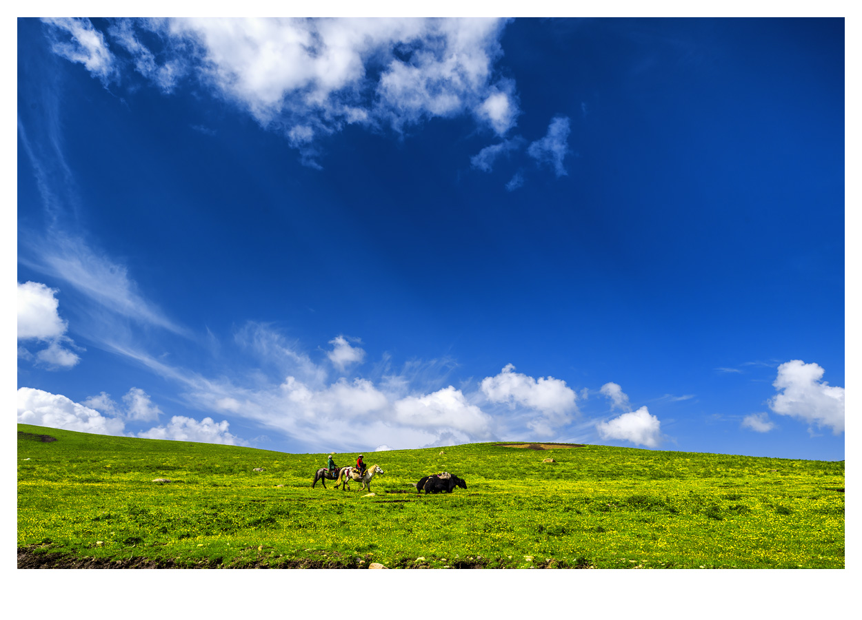 _DSC7223.jpg