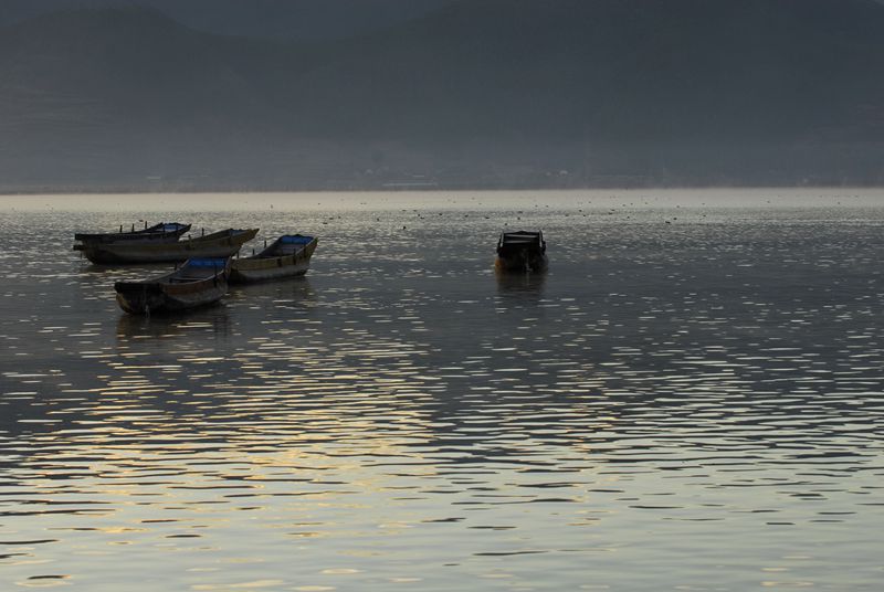 DSC_0098_.jpg