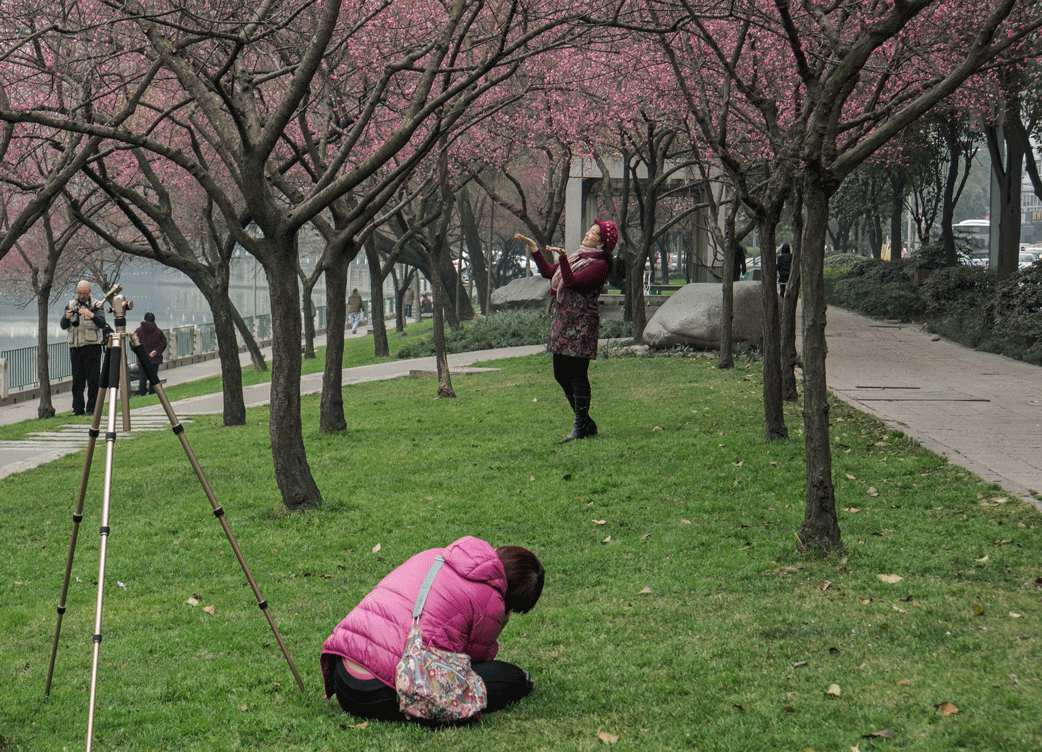 DSC07360.gif