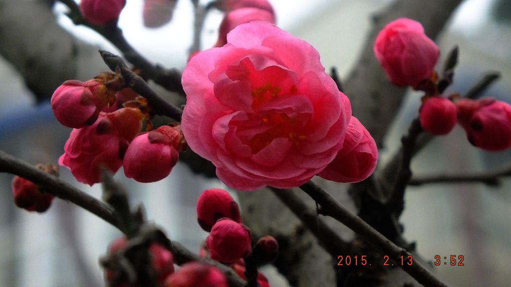DSCF0136_.jpg