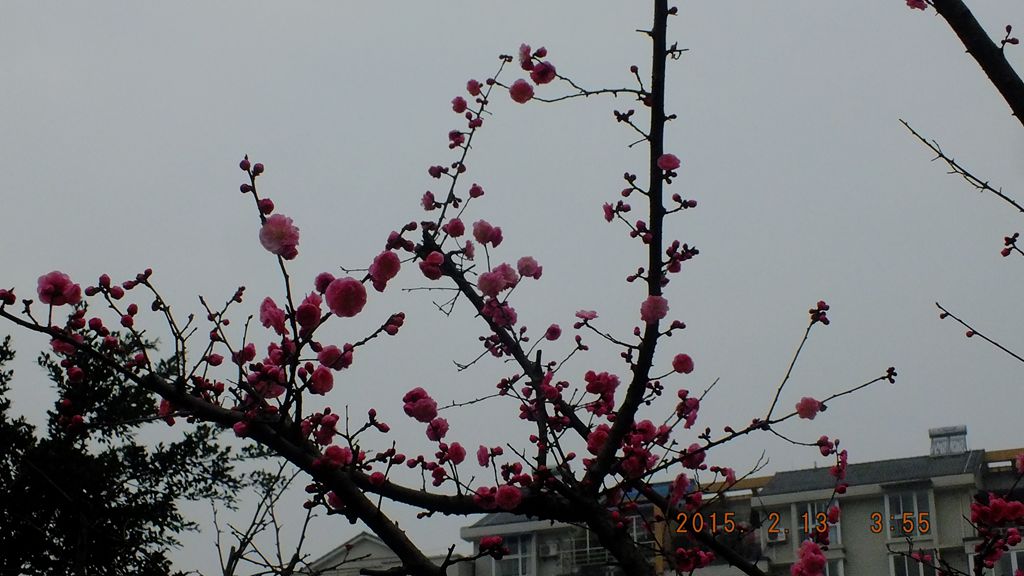 DSCF0144_.jpg