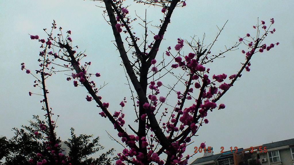 DSCF0145_.jpg