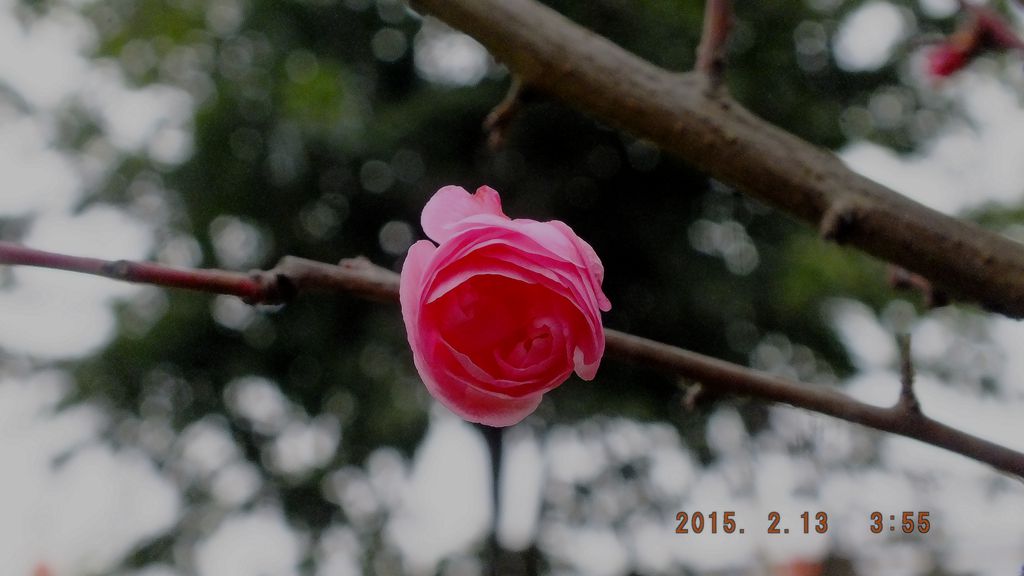 DSCF0146_.jpg