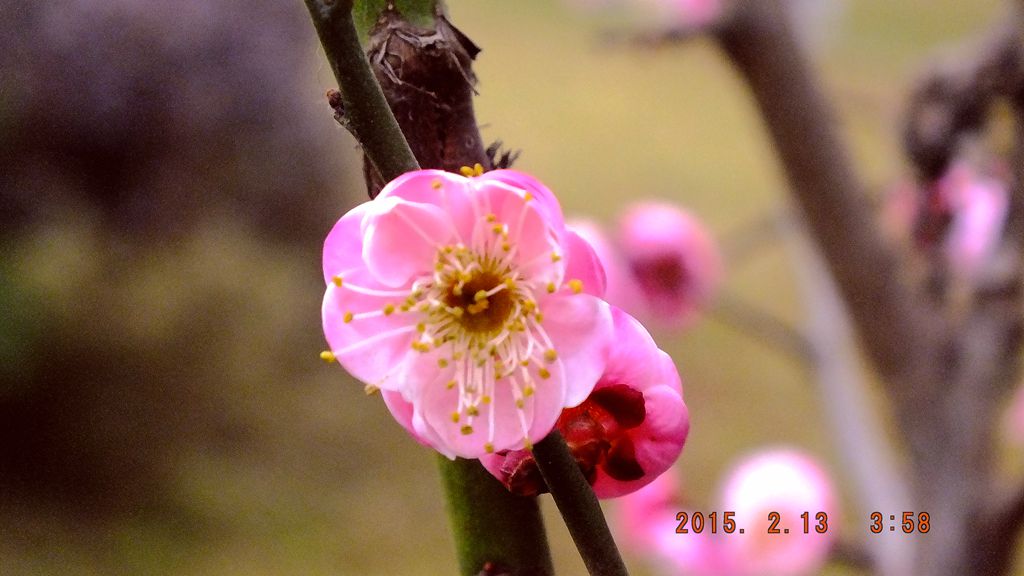DSCF0152_.jpg
