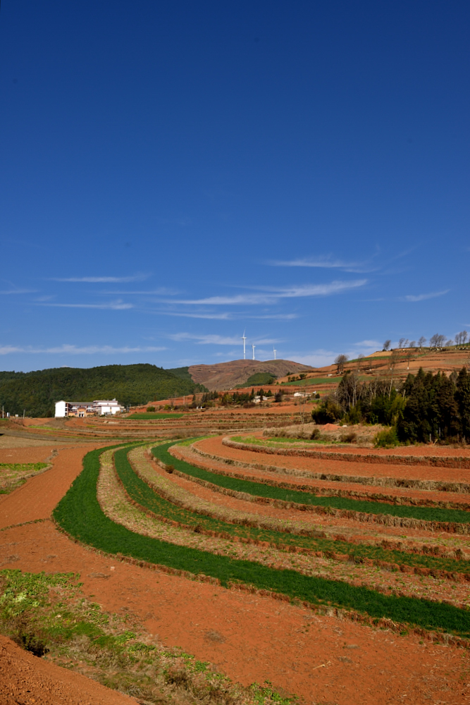 东川红土地-走遍四川-四川旅游景区-四川论坛-麻辣社区