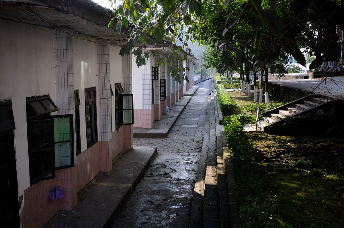 NIKON D90 NIKON D90 F5.6 1_60s19.jpg