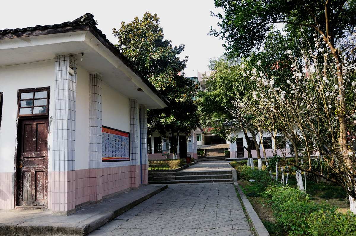NIKON D90 NIKON D90 F5.6 1_125s24.jpg