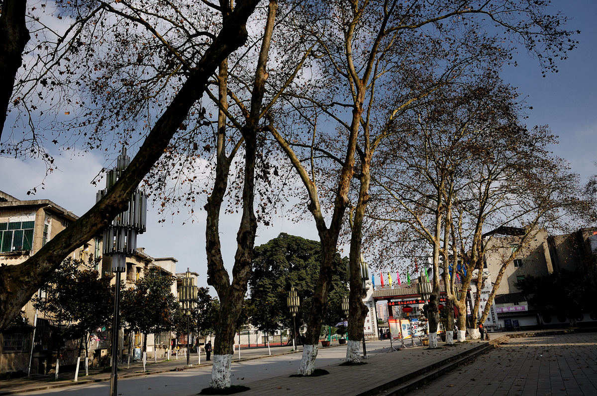 NIKON D90 NIKON D90 F5.6 1_640s02.jpg