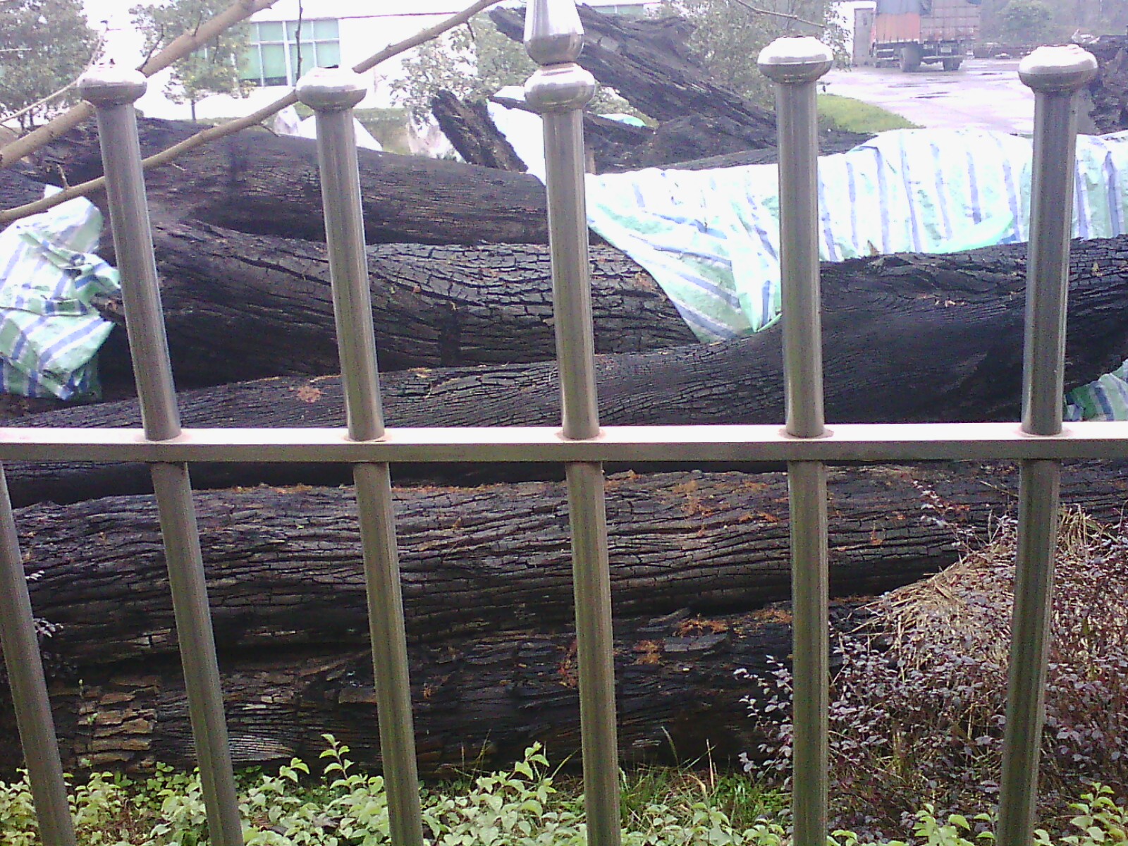 其实地下挖出来的阴木堆积如山不是都值钱,-蓬安论坛