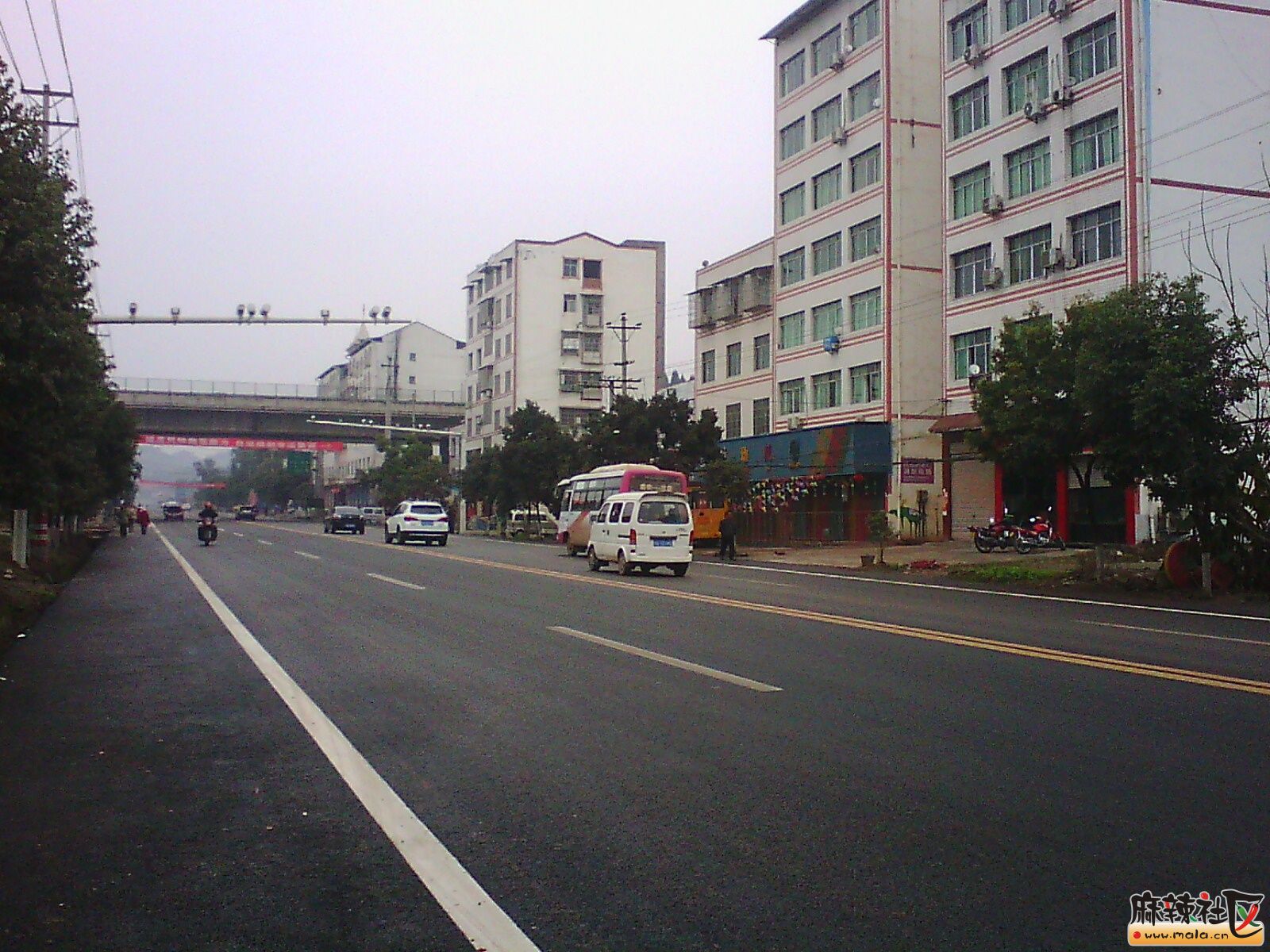 IMG19335.jpg