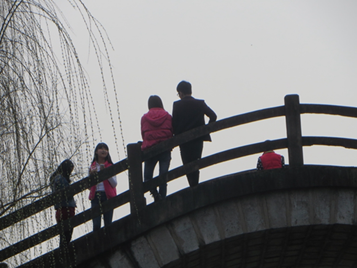 IMG_1526.jpg