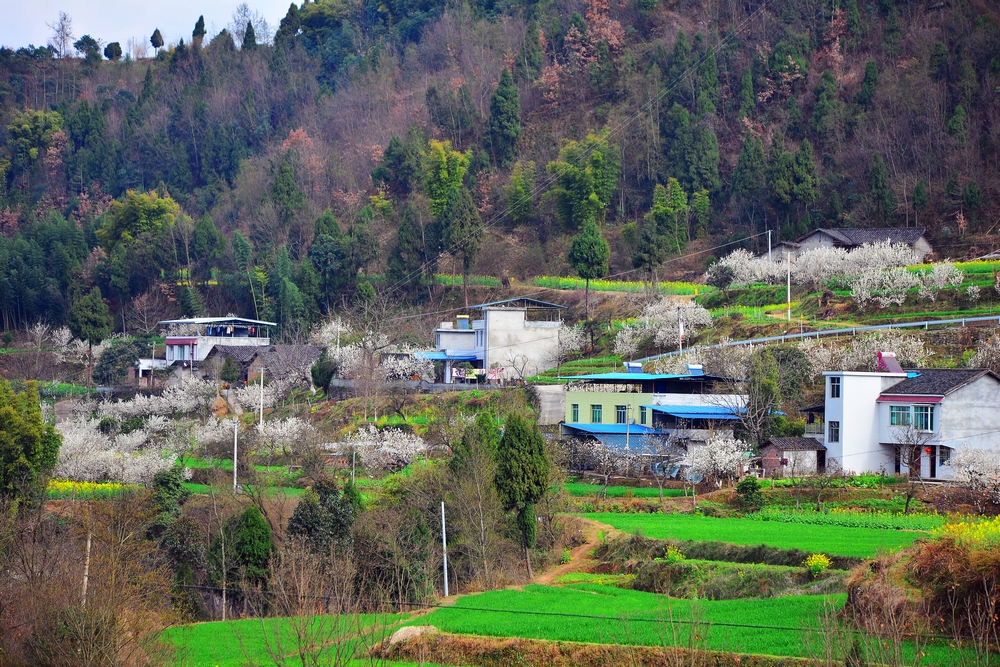 DSC_5958.jpg