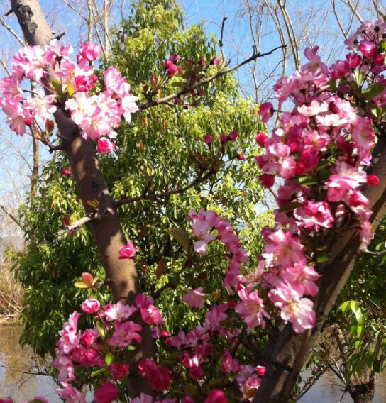 QQͼƬ20150228151946.jpg