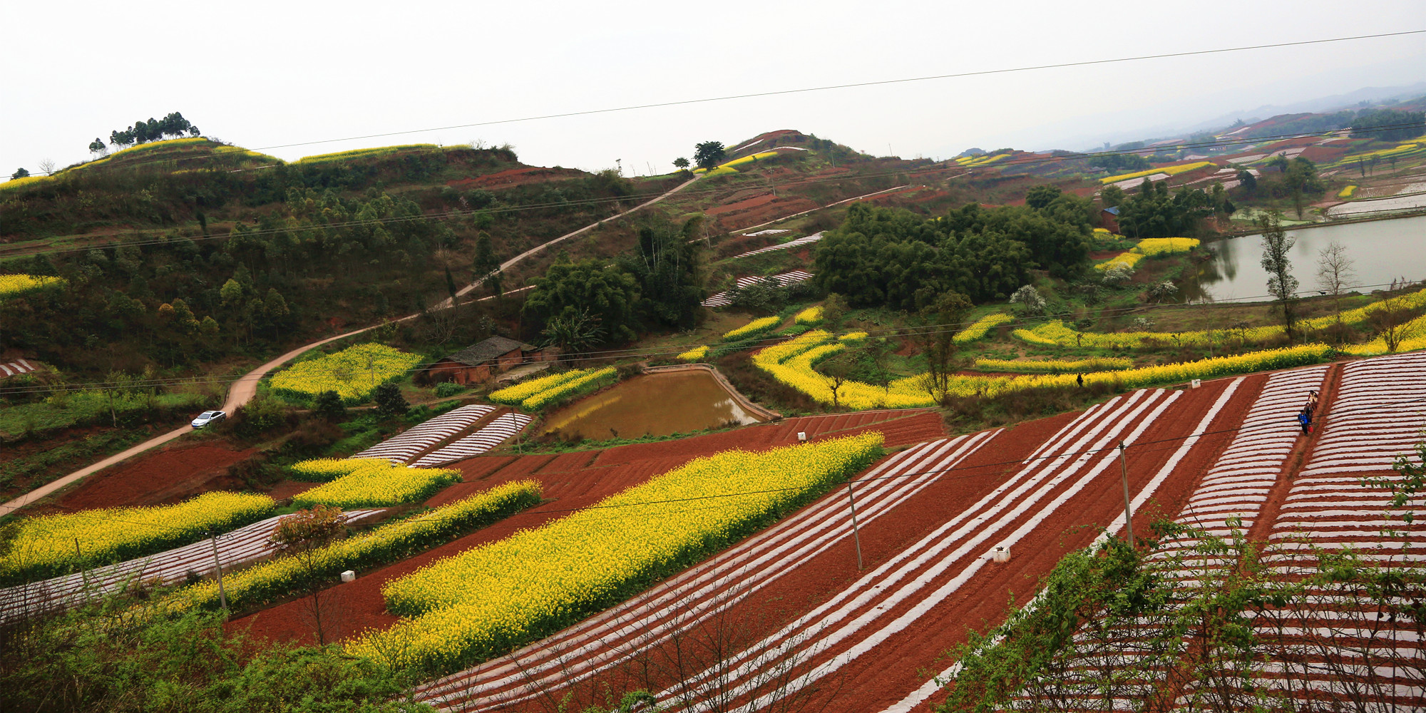 荣县红土地印象摄影记大地锦绣