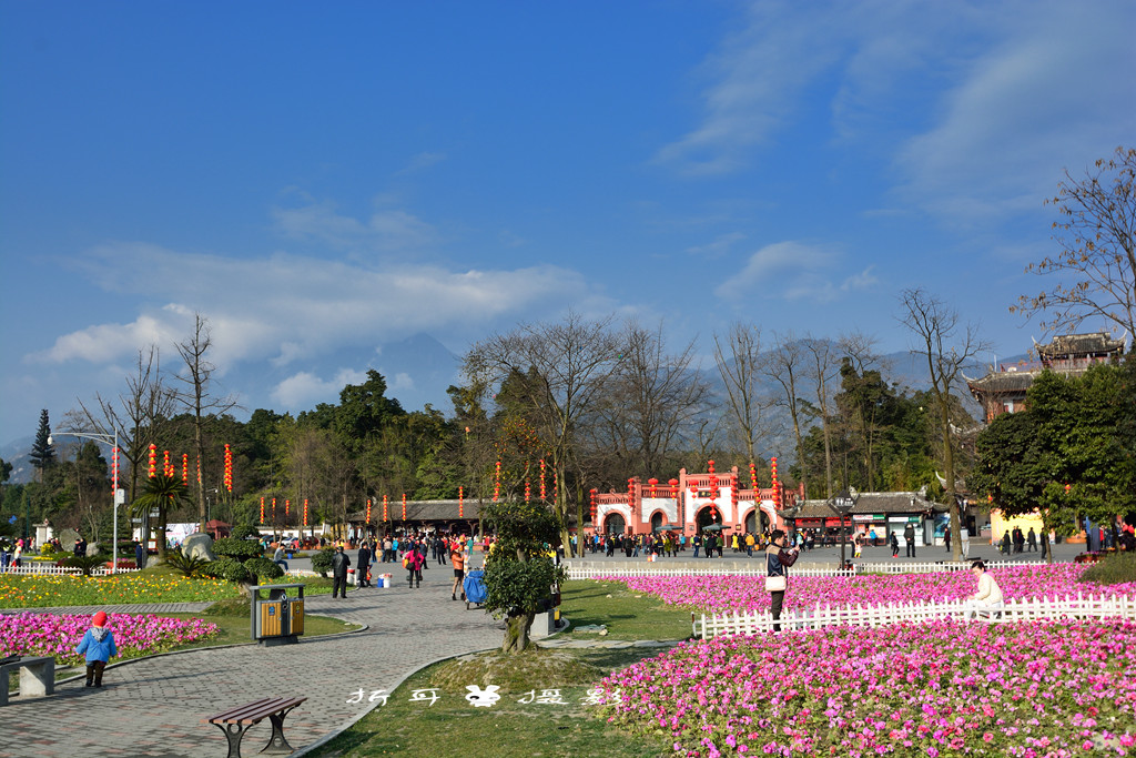 DSC_6928_.jpg