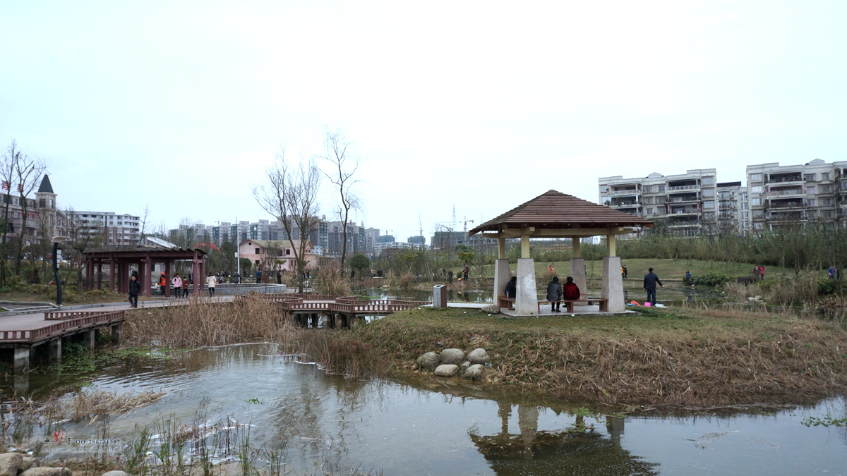DSC00768.jpg