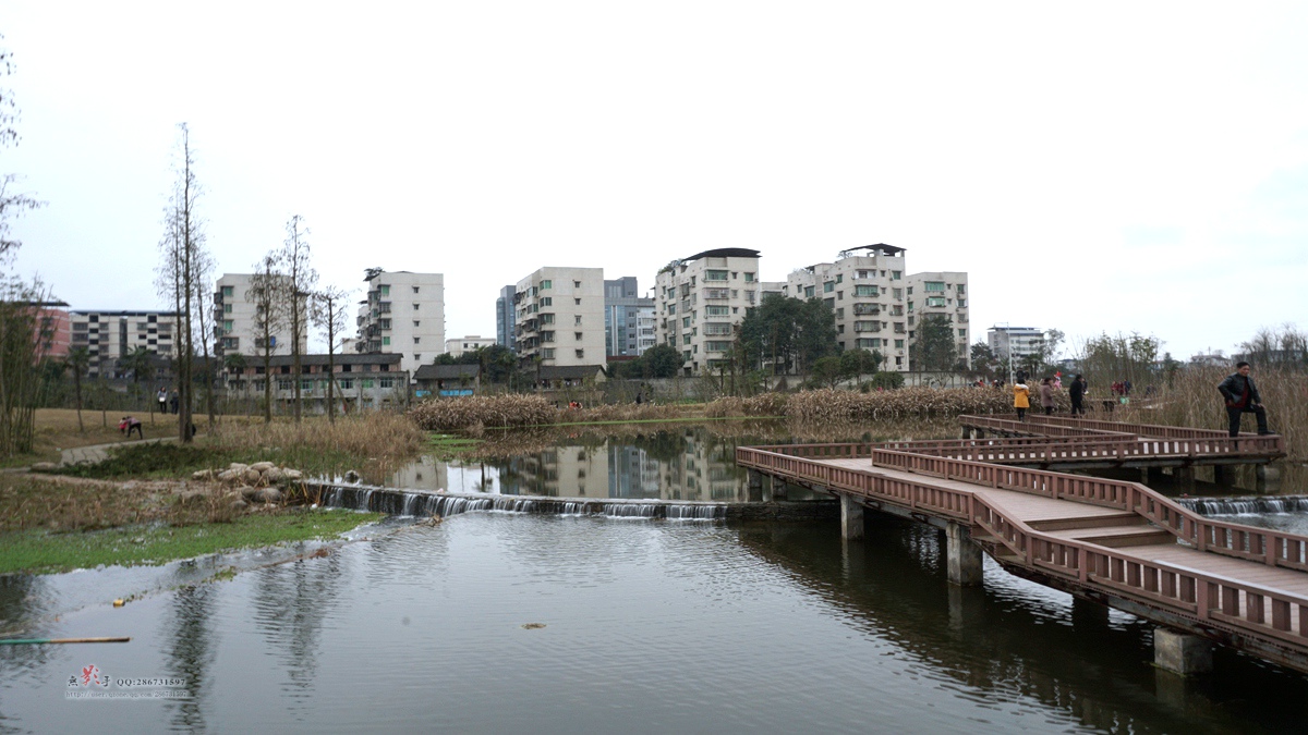 DSC00773.jpg