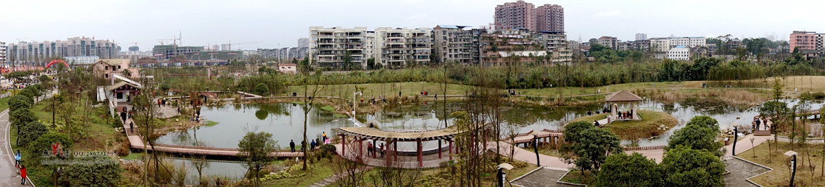 DSC00831.jpg