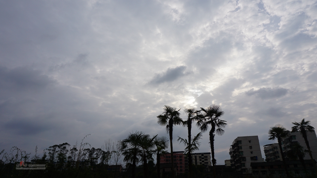 DSC00917.jpg