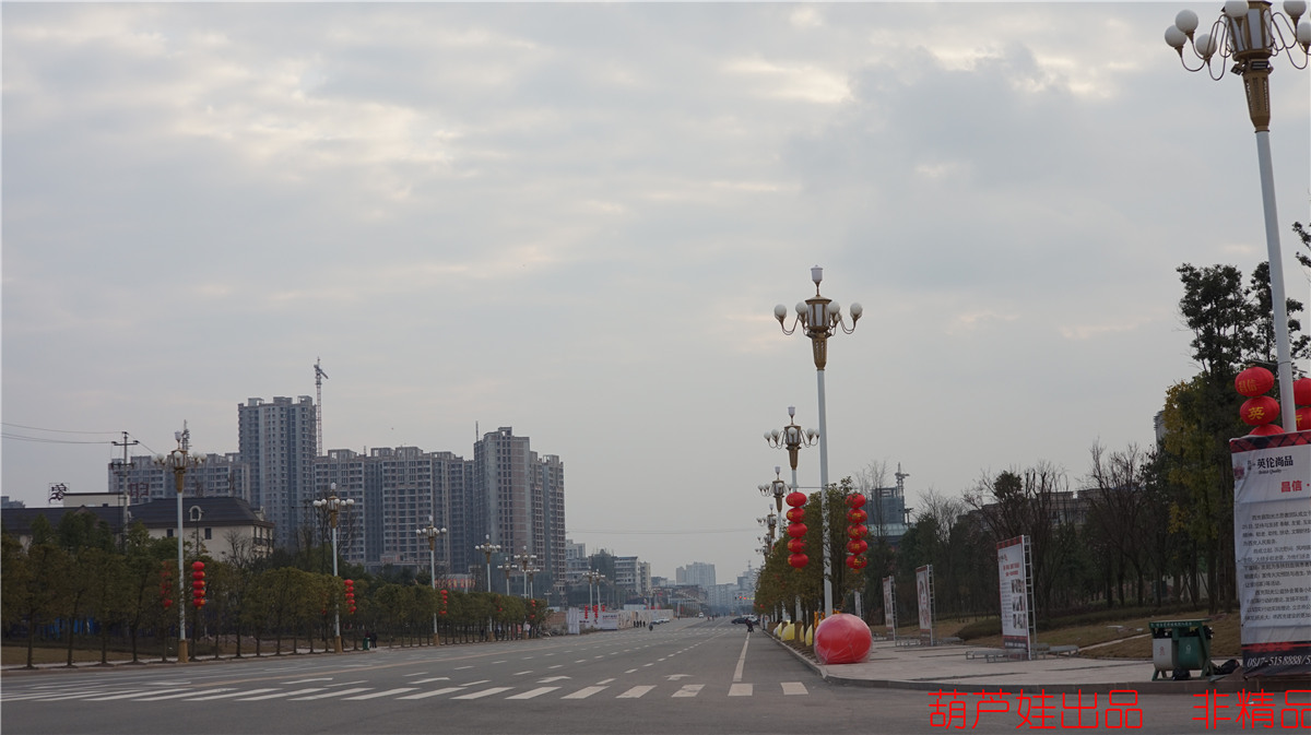 DSC02106.jpg